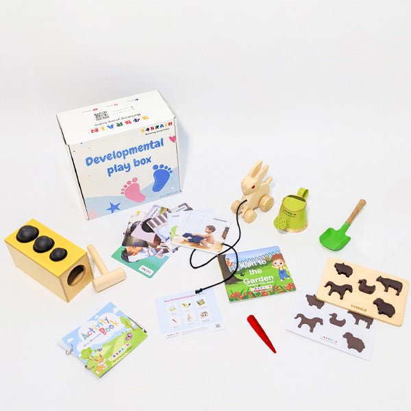 Complete Developmental Playbox (15-18 Months) - b4brainuae