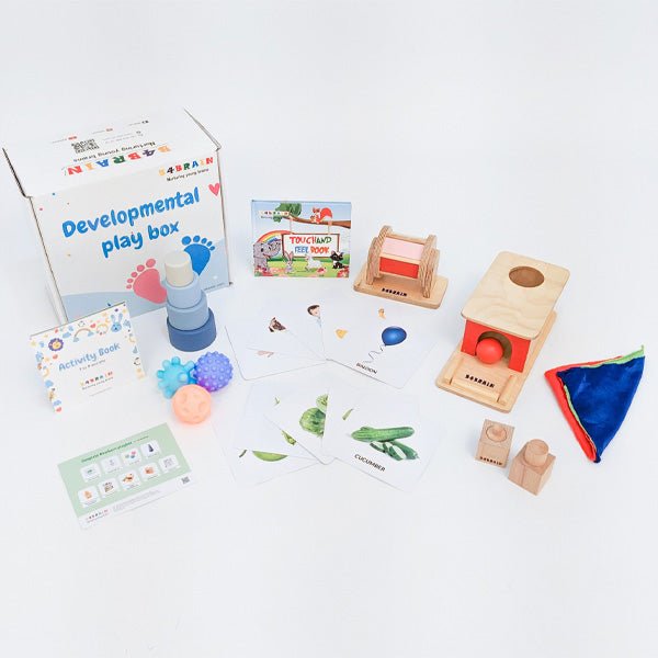 Complete Developmental Playbox (7-9 Months) - b4brainuae