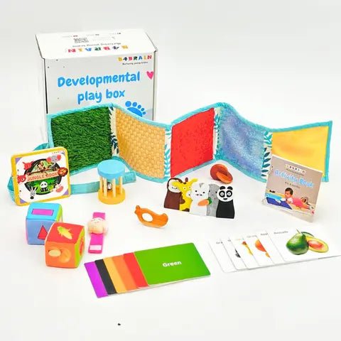 Complete Developmental Playbox (4-6 Months)