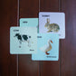 Shape Cards And Pet Animal Cards For babies - b4brainuae